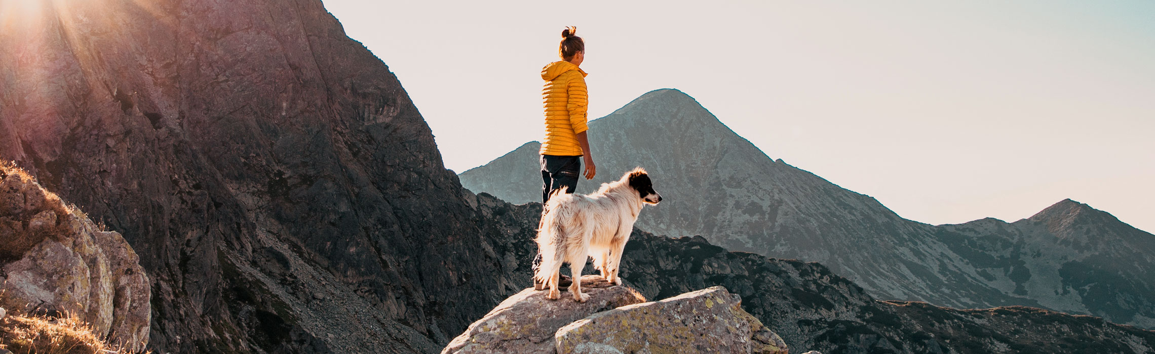 Trekking con il cane
