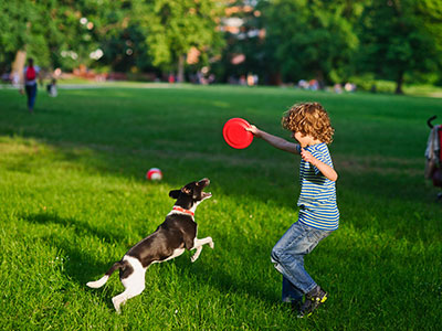 Cane e bambino giocano al parco