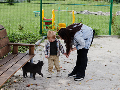 Gatto al parco
