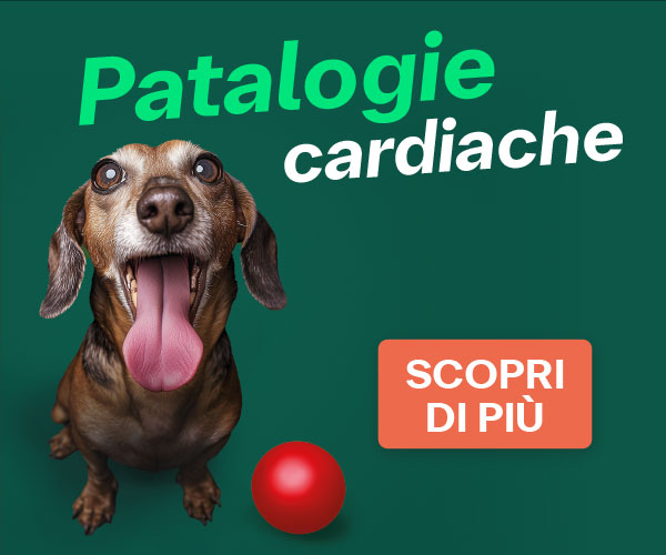 Link patologia cardiaca