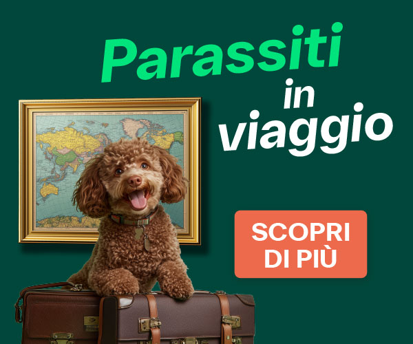 Link parassiti in viaggio