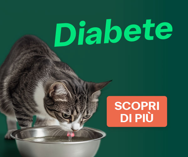 Link diabete