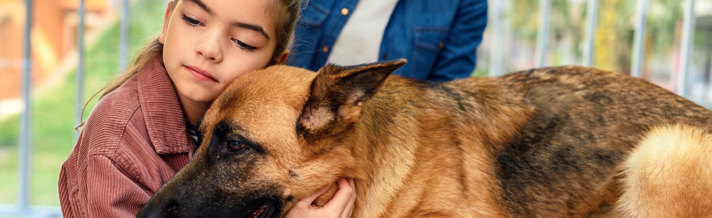 I sintomi iniziali della leishmaniosi nel cane