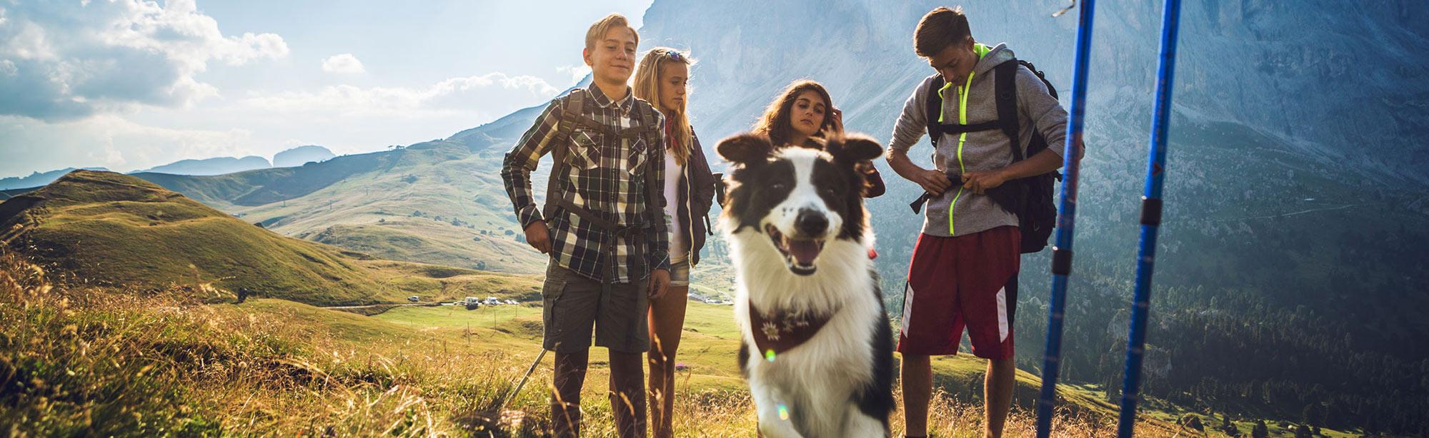 top image magazine trekking cane
