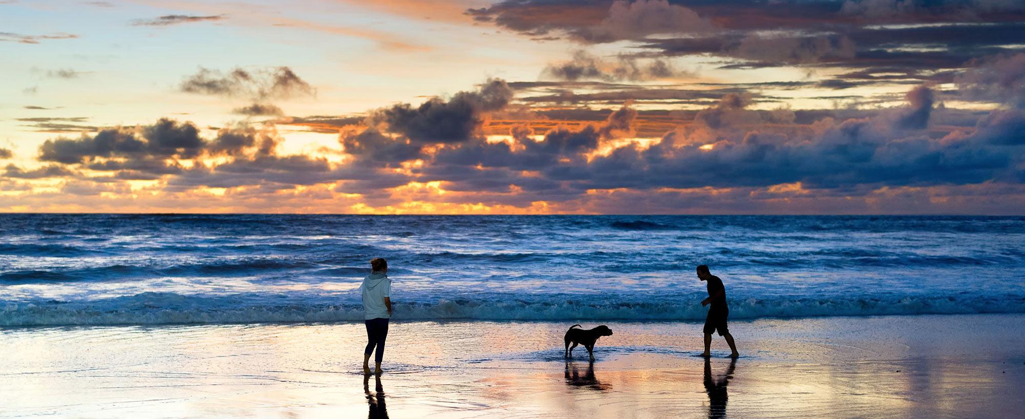 top image magazine cani in estate
