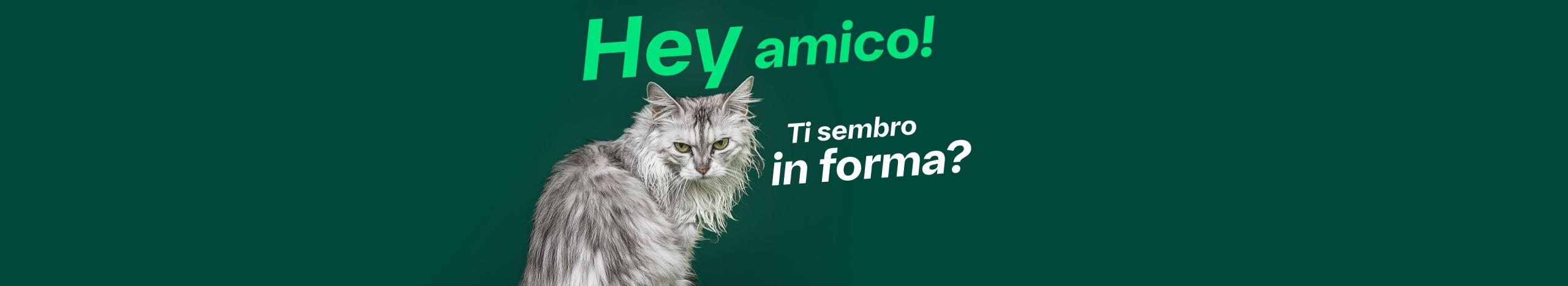 top image ipertiroidismo