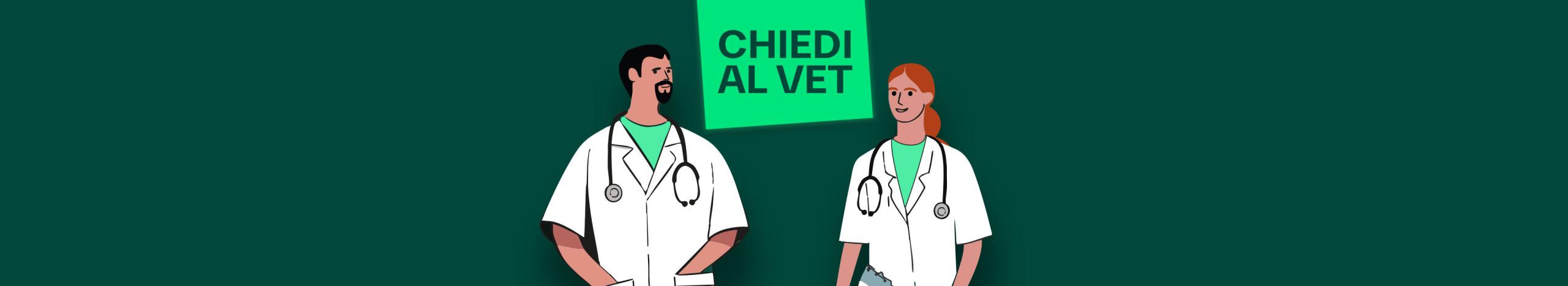 top slide landing chiedi al vet
