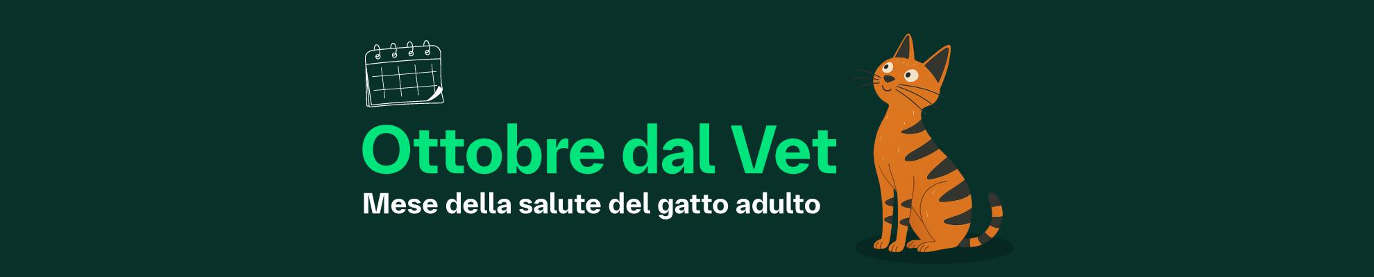 Mese Gatto Ottobre dal Vet