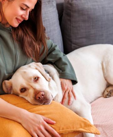 Epilessia nel cane