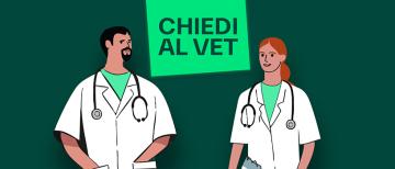 top slide landing Chiedi al vet MOBILE