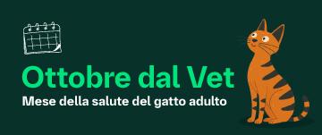 Mese Gatto Ottobre dal Vet Mobile