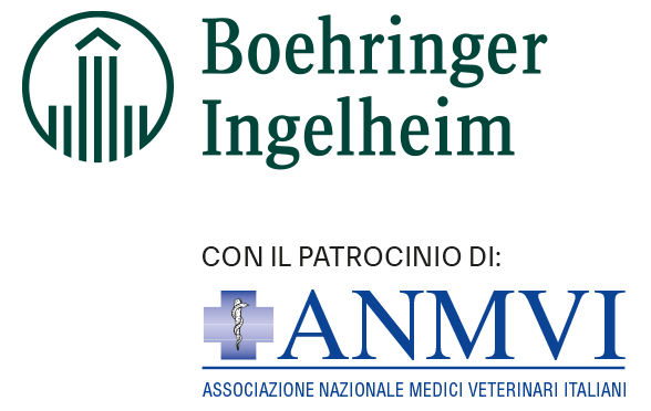 Loghi BI e ANMVI