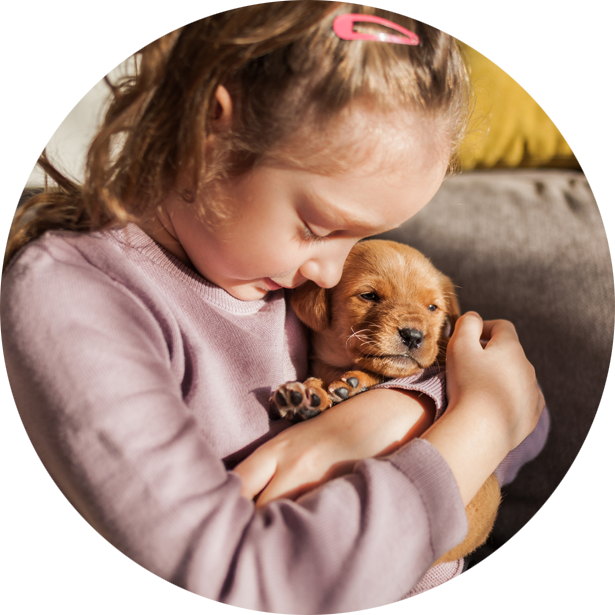 Una nuova famiglia cuccioli