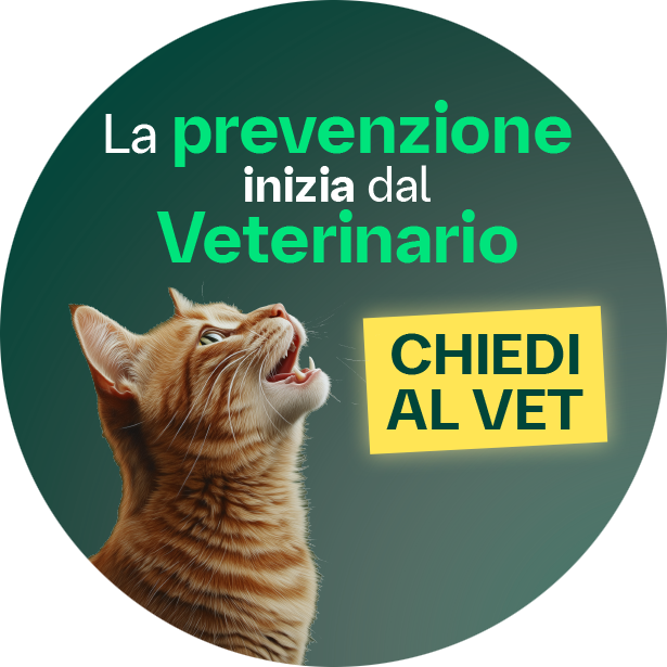 Immagine tonda chiedi al vet
