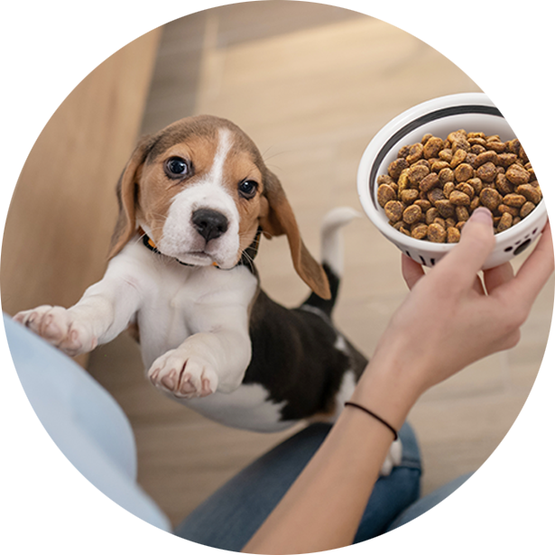 CUCCIOLI_Alimentazione