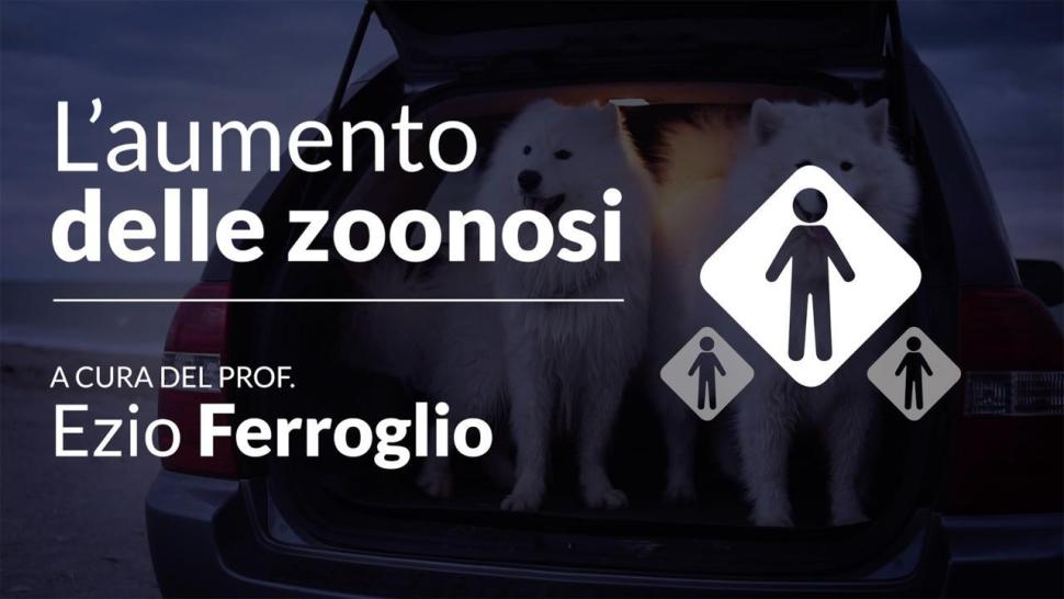 L'aumento delle zoonosi video