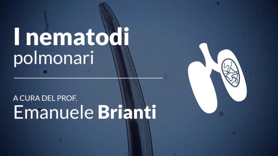 Nematodi polmonari 1 video