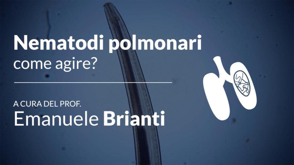 Nematodi Polmonari come agire video