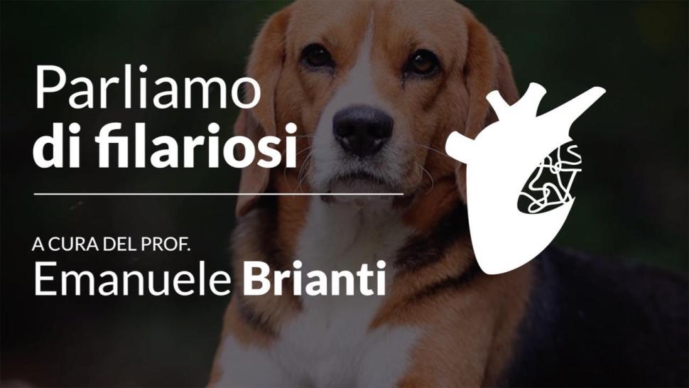 Parliamo di filariosi video