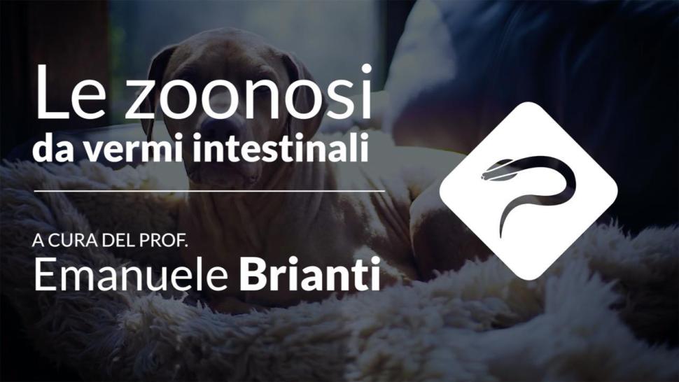 Le zoonosi da vermi intestinali video