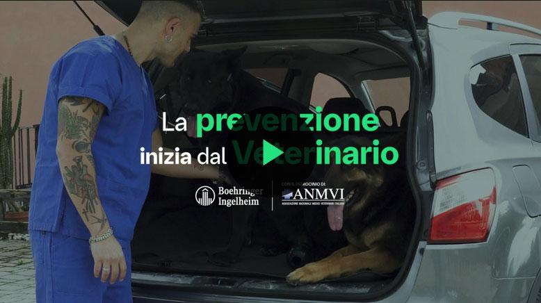 image video parassiti in viaggio