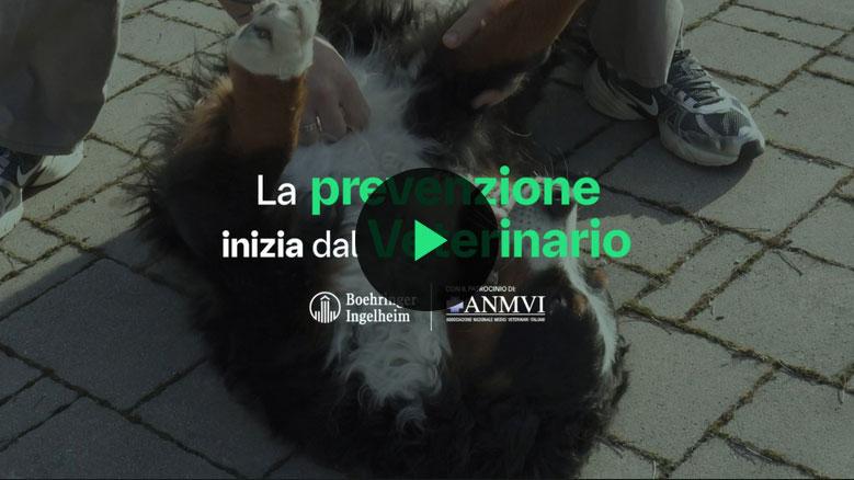 image preview video patologia cardiaca