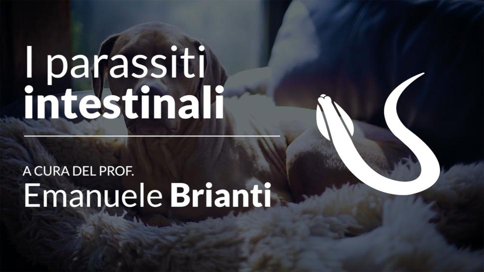 anteprima video parassiti intestinali Brianti 1