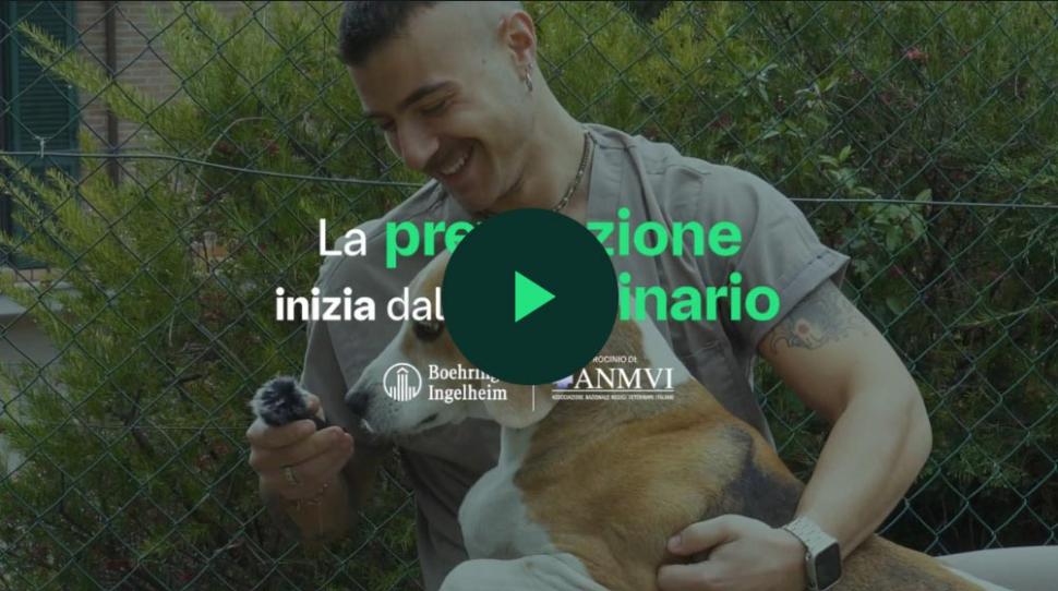 image video parassiti in citta